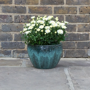 Glazed Green Fishbone Portly Egg Terracotta Planter (D30cm x H20cm) Outdoor Plant Pot - image 3