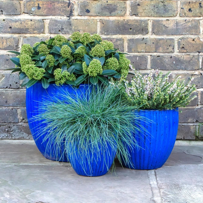 Glazed Portly Egg Rib Blue (D37cm x H34cm) Handmade Terracotta Planter Outdoor Plant Pot - image 2