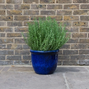 Glazed Rim HP001 Blue (D40cm x 30cm) Terracotta Planter Outdoor Plant Pot - image 3