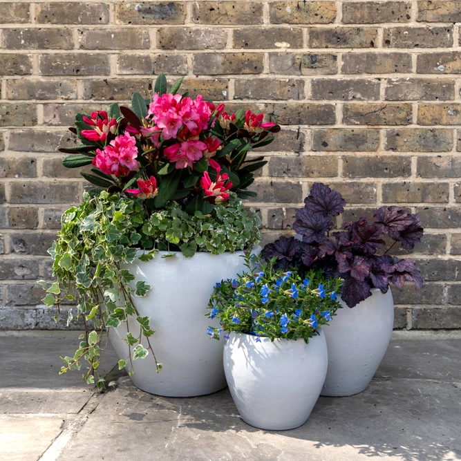 Glazed Terracotta Belly Pot White Planter (D38cmx32cm) Handmade Outdoor Plant Pot - image 2