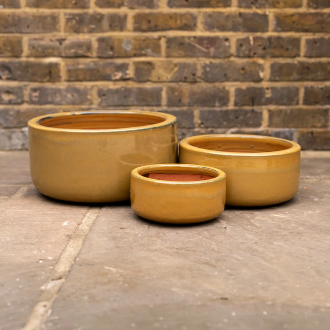 Glazed Terracotta Bowl Honey Planter (D30cm x H14cm) Handmade Outdoor Plant Pot - image 1