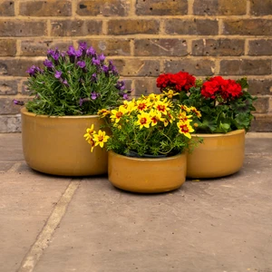 Glazed Terracotta Bowl Honey Planter (D30cm x H14cm) Handmade Outdoor Plant Pot - image 2