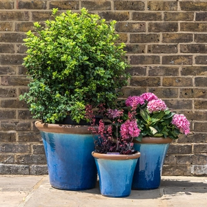 Glazed Terracotta Brighton Mediterranean Planter (Pot Size D41cm x H34cm) Handmade Outdoor Plant Pot - image 2