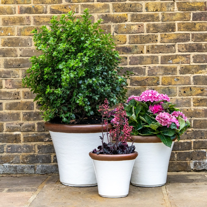 Glazed Terracotta Brighton White Planter (Pot Size D41cm x H34cm) Handmade Outdoor Plant Pot - image 2