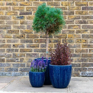 Glazed Terracotta Orangerie Egg Pot Blue Planter (D35cmx37cm) Handmade Outdoor Plant Pot - image 2