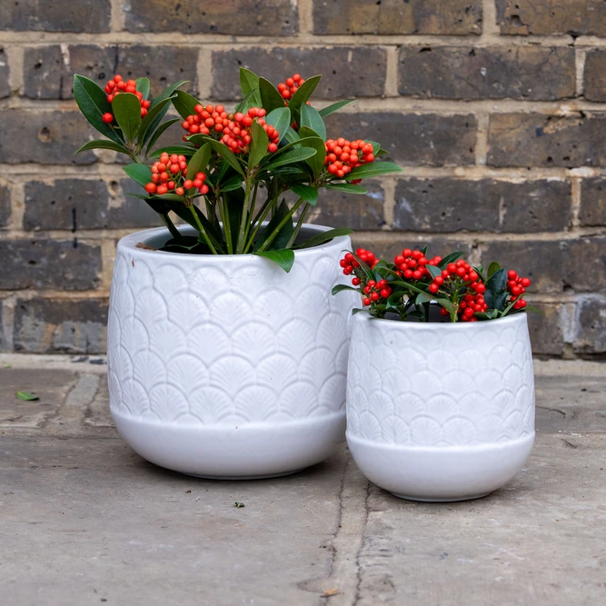 Glazed Terracotta Orangerie Pot White Planter (D19cmx20cm) Handmade Outdoor Plant Pot - image 2