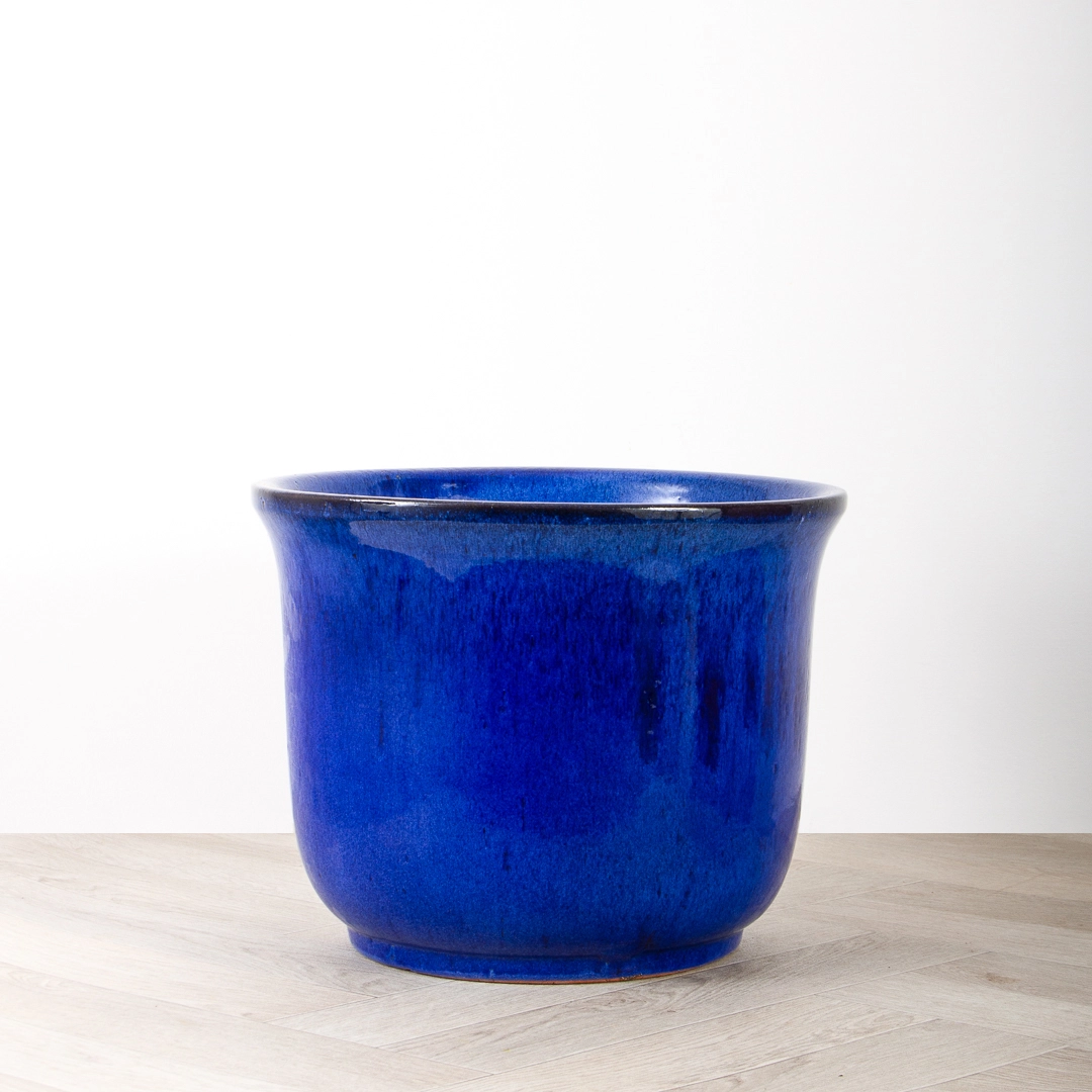 Glazed Terracotta Pot Royal Blue (Pot Size D39cmH31cm) Lilly Collection The Boma Garden Centre