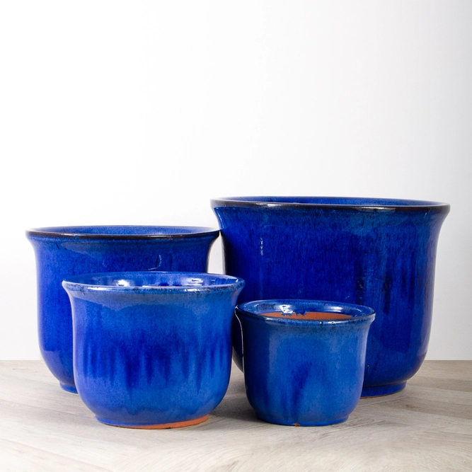Glazed Terracotta Pot Royal Blue (Pot Size D39cmH31cm) Lilly Collection The Boma Garden Centre