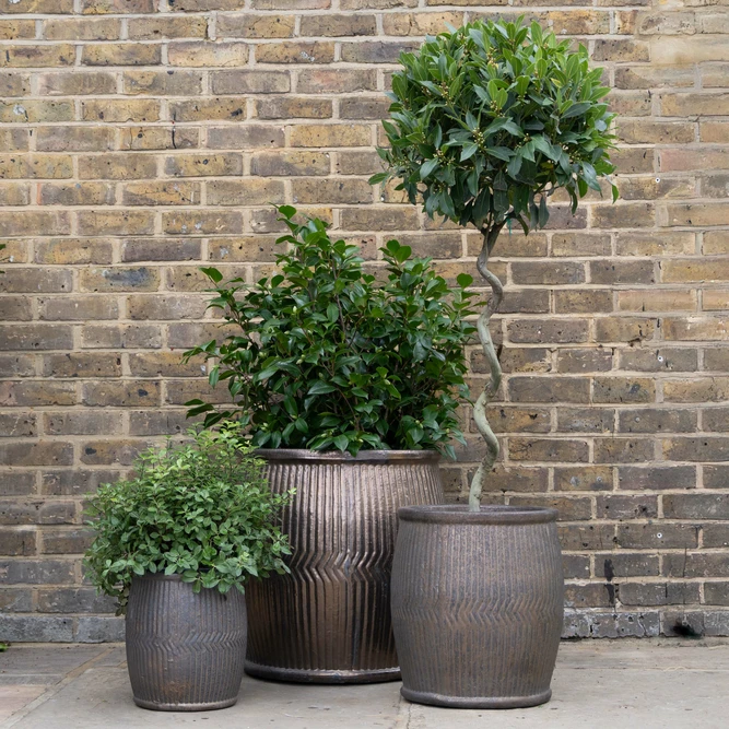 Glazed Terracotta Rain Barrel Bronze Planter (D55cmx55cm) Handmade Outdoor Plant Pot - image 2
