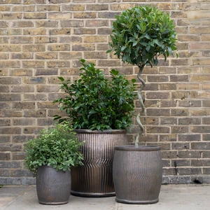 Glazed Terracotta Rain Barrel Bronze Planter (D55cmx55cm) Handmade Outdoor Plant Pot - image 2