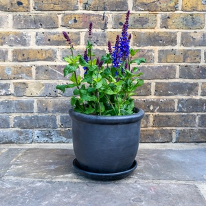 Glazed Terracotta Saucer Matt Black (D20cm) Handmade Plant Pot Saucer - image 4
