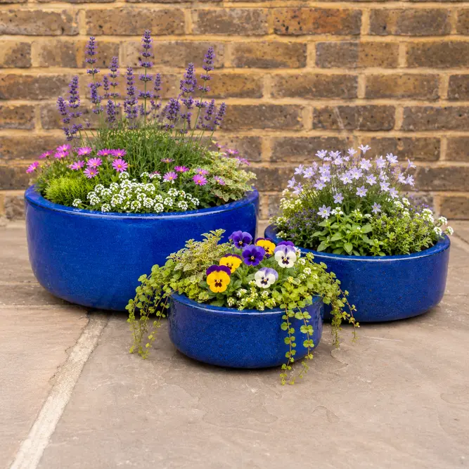 Glazed Terracotta Small Bowl Blue Planter (D18cm x H8cm) Handmade Outdoor Plant Pot - image 2