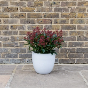 Glazed White Egg Pot Terracotta Planter (D28cm x H26cm) Outdoor Plant Pot - image 3