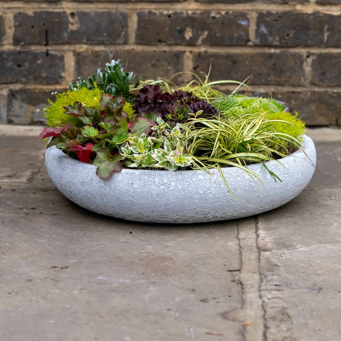 Glazed White Terracotta Bowl Nico (D33x7cm) Outdoor Plant Pot - image 3