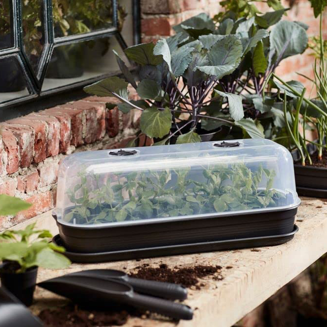 Grow House Tray Large (W51cmxD20cmxH8cm) (Lid Sold Separately) - image 2