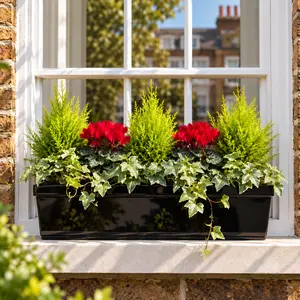 Hampstead Haven Window Box - Red