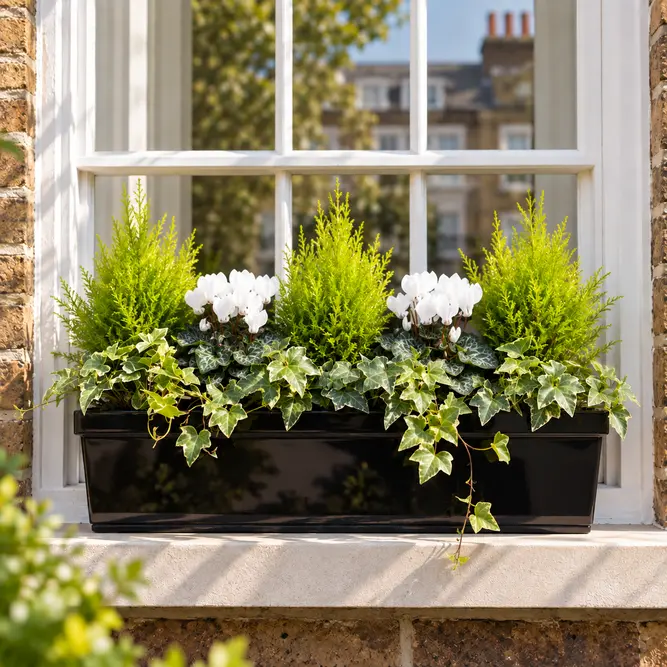 Hampstead Haven Window Box - White