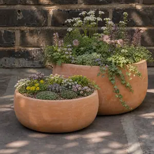 Handmade Terracotta Low Bowl (Pot Size D24cm x H10cm) Outdoor Plant Pot - image 2