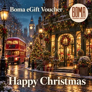 "Happy Christmas" eGift Voucher