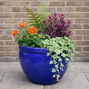 Harrington Seasonal Planter