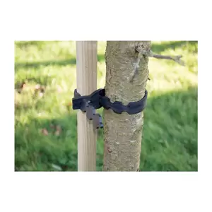 Heavy Duty Tree Tie 60cm (Single) - image 2