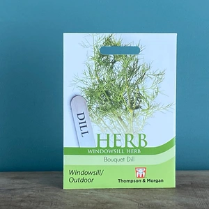 Herb Seeds - Bouquet Dill - image 2