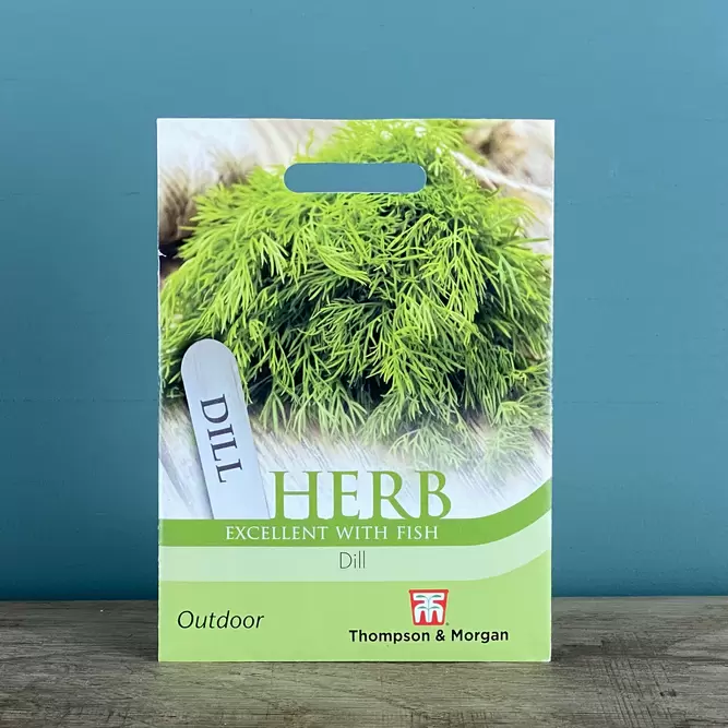 Herb Seeds - Dill