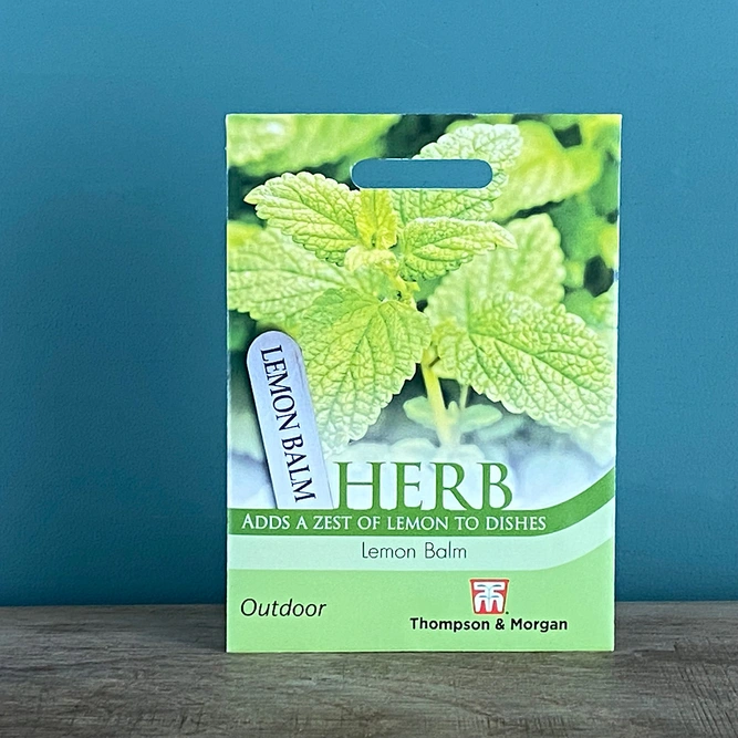 Herb Seeds - Lemon Balm - image 2