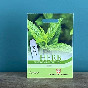 Herb Seeds - Mint - image 2