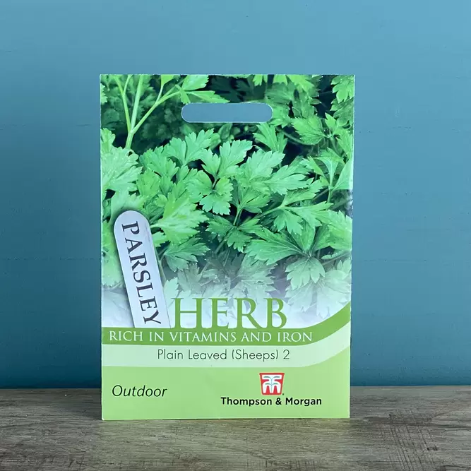 Herb Seeds - Parsley Plain Leaved (Sheeps) 2