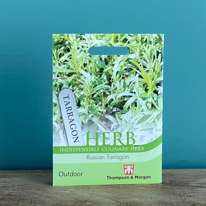 Herb Seeds - Russian Tarragon - image 2
