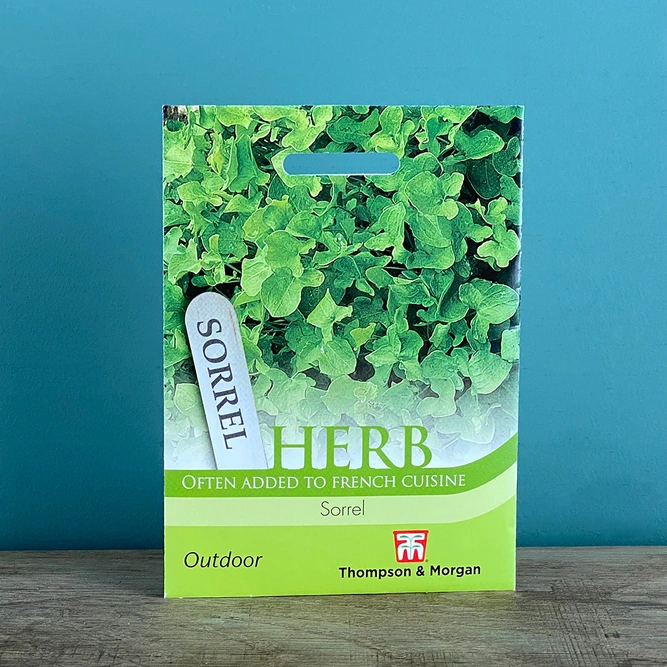 Herb Seeds - Sorrel - image 2