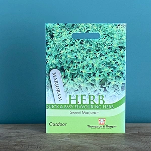 Herb Seeds - Sweet Marjoram - image 2