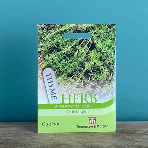 Herb Seeds - Thyme Olde English - image 2