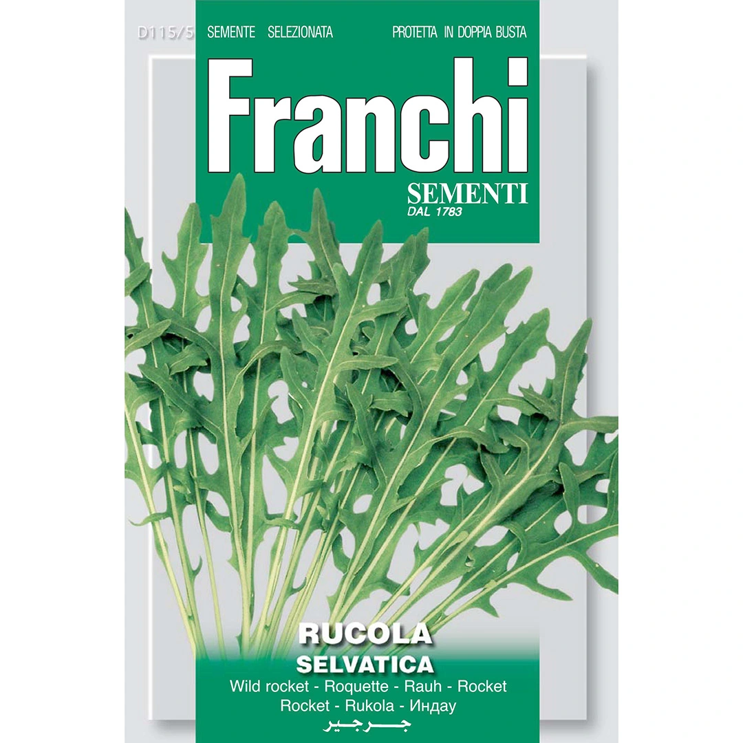 Herb Seeds - Wild Rocket Selvatica at Boma Garden Centre