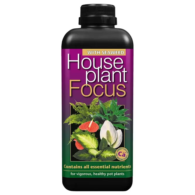 House Plant Focus 1L Indoor Houseplant Food