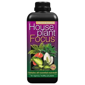 House Plant Focus 1L Indoor Houseplant Food