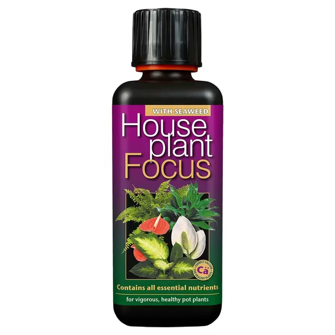 House Plant Focus 100ml Indoor Houseplant Food - image 1