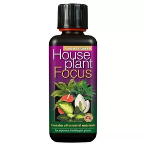 House Plant Focus 100ml Indoor Houseplant Food