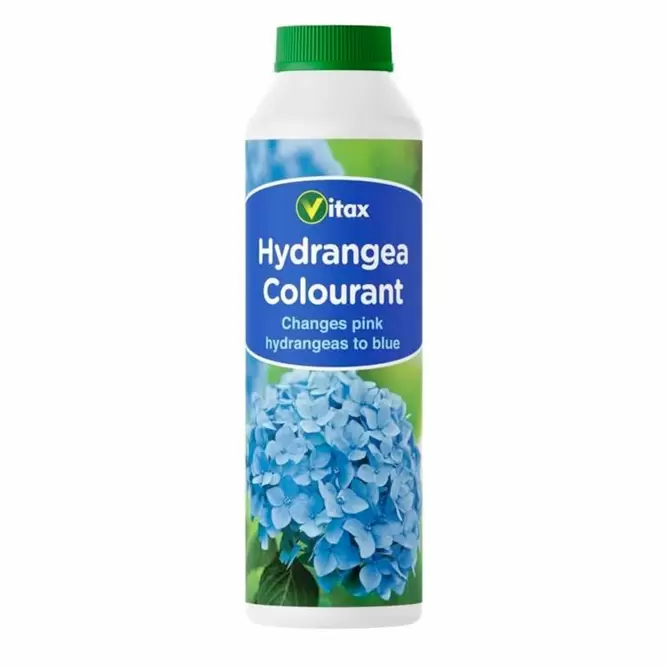 Hydrangea Colourant 500g