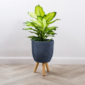 Iowa Leggs Pot Graphite (D24cm x H40cm) Multi-use Indoor Plant Pot Cover On Legs - image 3