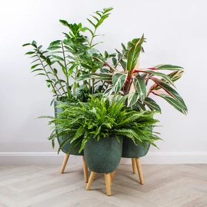 Iowa Leggs Pot Green (D31cm x H48cm) Multi-use Indoor Plant Pot Cover On Legs - image 6