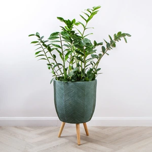 Iowa Leggs Pot Green (D38cm x H55cm) Multi-use Indoor Plant Pot Cover On Legs - image 3