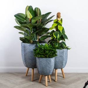 Iowa Pot Grey (D31cm x H48cm) Multi-use Indoor Plant Pot Cover On Legs - image 4