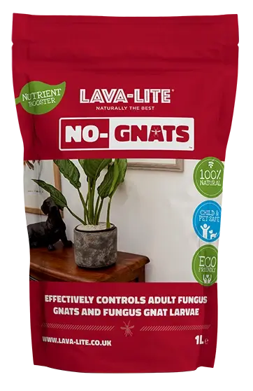 Lava Lite No Gnats 1L - image 1