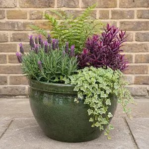 Lavender Seasonal Planter