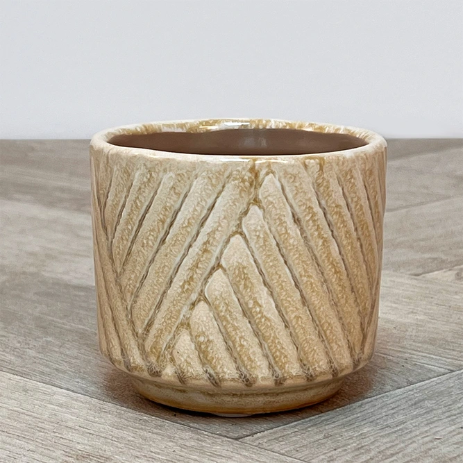 Levi Cream Plant Pot (D7cm) - image 2