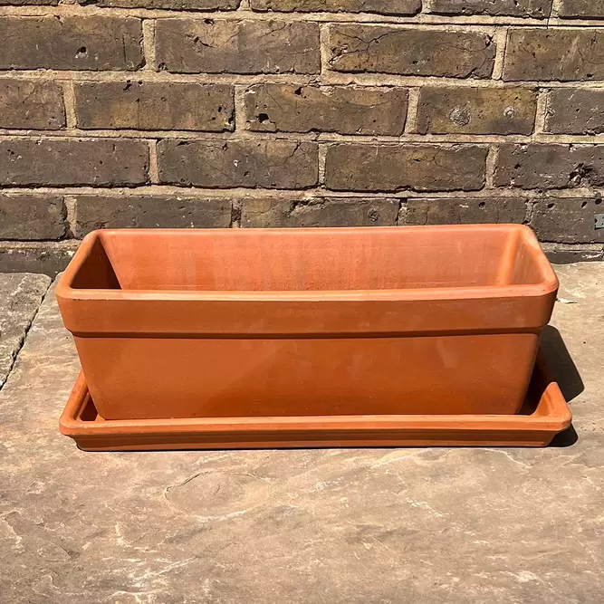 Liscia Terracotta Window Box Trough Planter 50cm The Boma Garden Centre