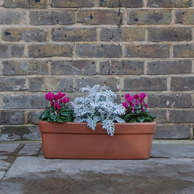 Liscia Terracotta Window Box Trough Planter 50cm - image 2