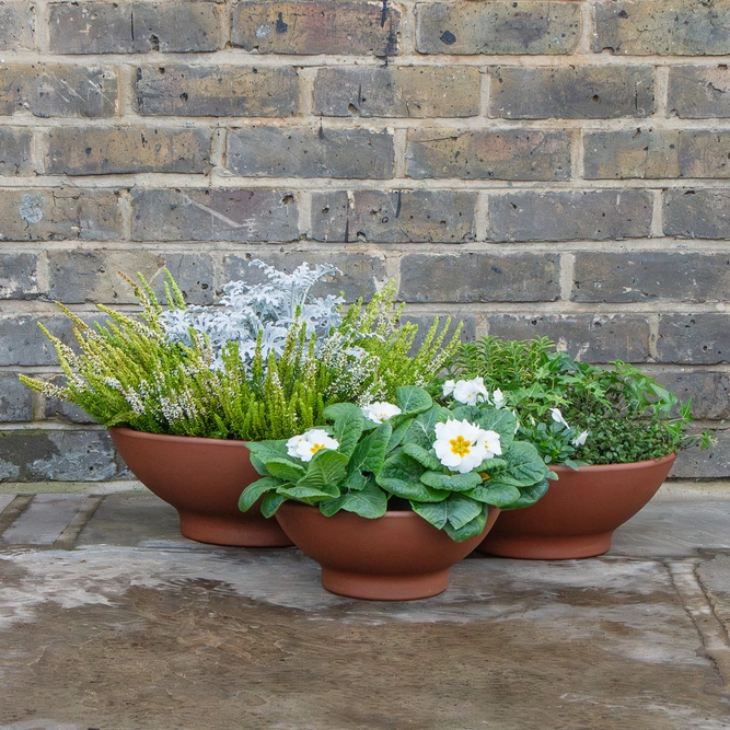 Low Terracotta Bowl 26cm - image 4